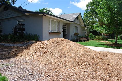 Maybe you would like to learn more about one of these? FREE Mulch Delivered in Orlando : Free Wood Chips Oviedo ...