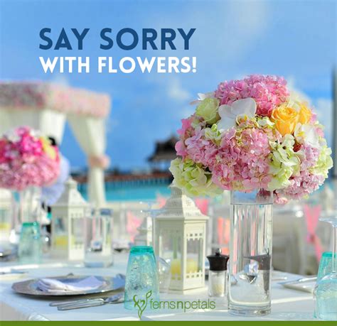 Are you feeling sorry for your act? Article Which Flowers Are Perfect To Say Sorry - Ferns N ...