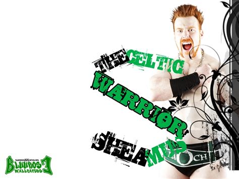 Sheamus Wallpapers Wwe Superstars Wwe Divas Wwe Wrestlmania Wwe Raw