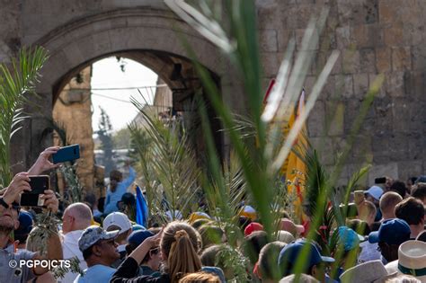 Palm Sunday Celebrated In Jerusalem Custodia Terrae Sanctae