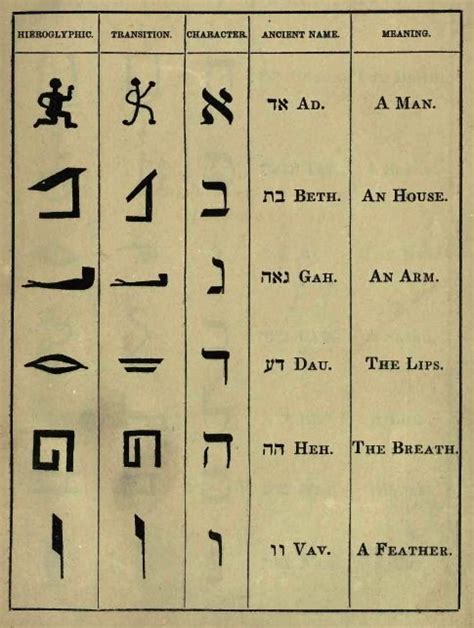 Languages As Symbols The Creation Of The Mental Program The