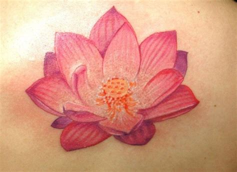 61 Charming Lotus Flower Tattoo Designs Media Democracy Lotus