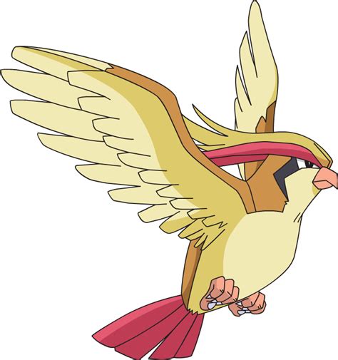 Image Ryuus Pidgeotpng Pokéfanon Fandom Powered By Wikia