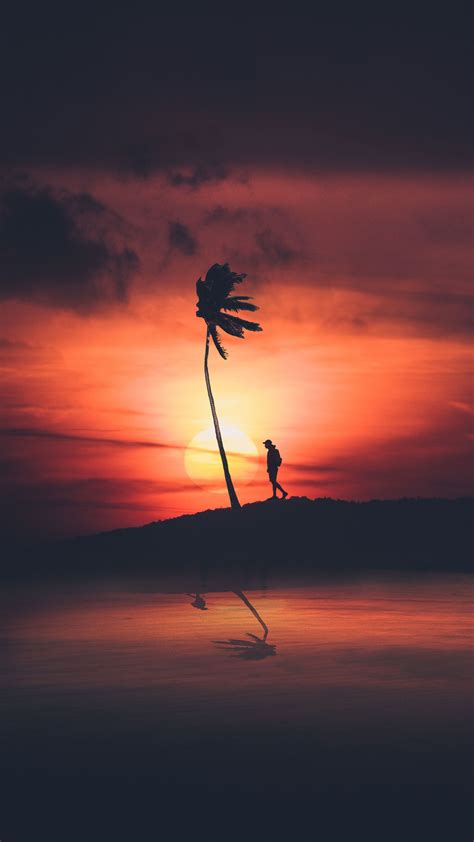 Man And Palm Tree Silhouette Sunset 2160x3840 Wallpaper 2160x3840