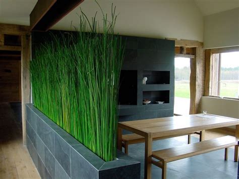 Indoor Grass Garden Bored Panda