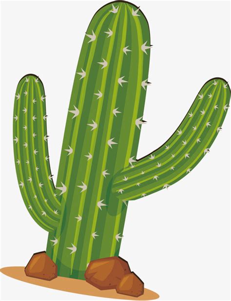 Cactus Vector Png 20 Free Cliparts Download Images On Clipground 2023