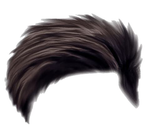 Hair PNG Transparent Images Pictures Photos PNG Arts