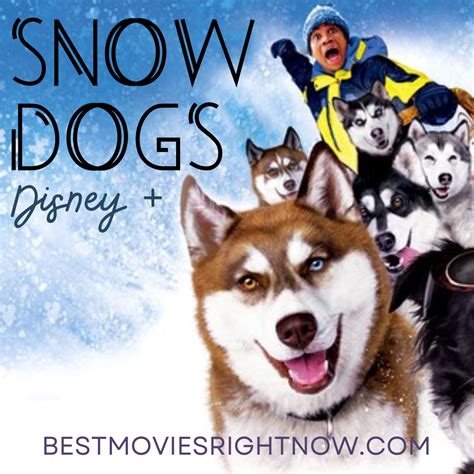 Is Snow Dogs On Disney Plus Best Movies Right Now