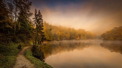 Herbst Nebel Bäume Fluss Naturlandschaft 3840x2160 Uhd 4k