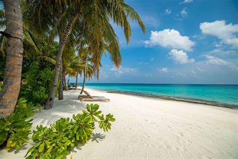 Beach - Fiyavalhu Maldives