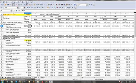 Cash Flow Projections Spreadsheet Natural Buff Dog