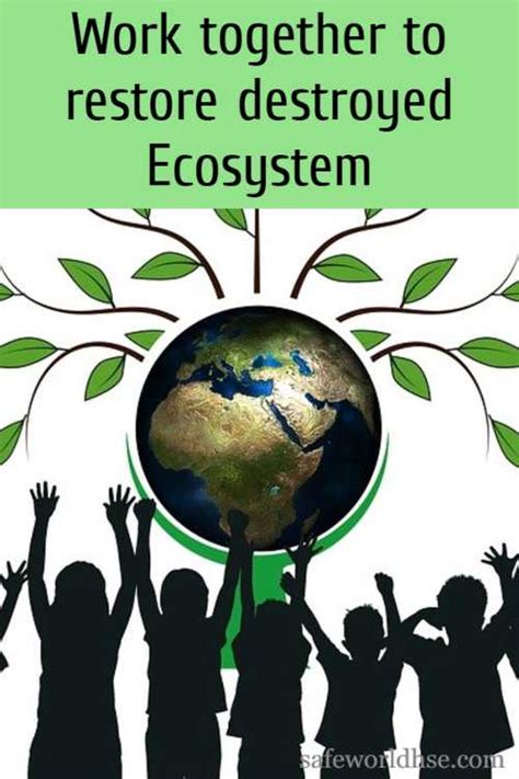 Popular Environment Slogans On Ecosystem Restoration Environment