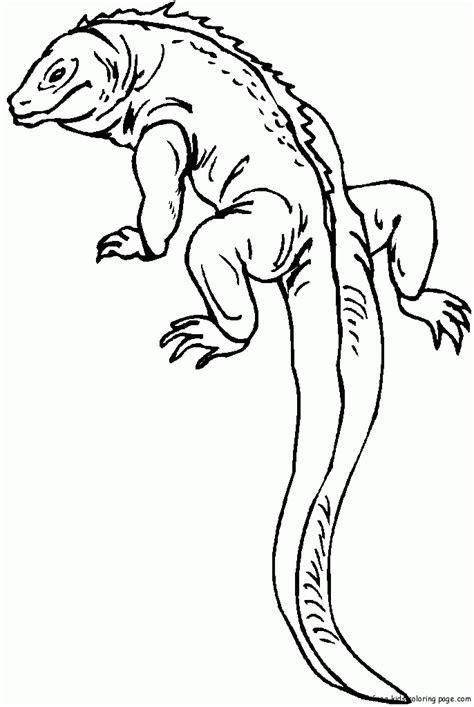 Lizard Pictures For Kids Coloring Home