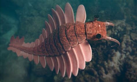 Discover the 3ft Giant Shrimp and Jellyfish Hybrid From 500 Million