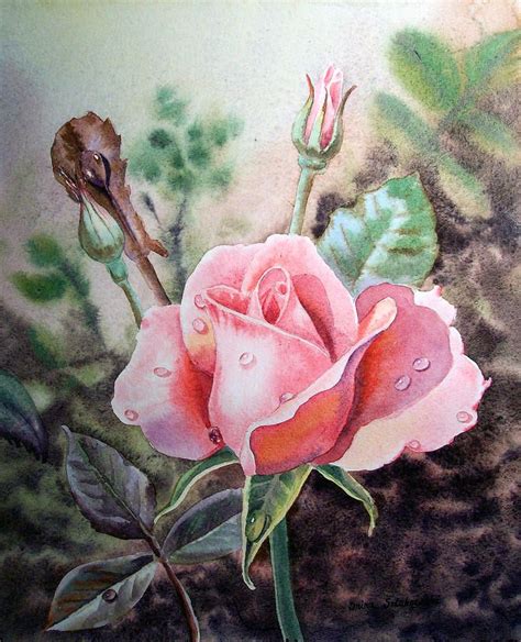 Pink Rose With Dew Drops By Irina Sztukowski Rose Painting