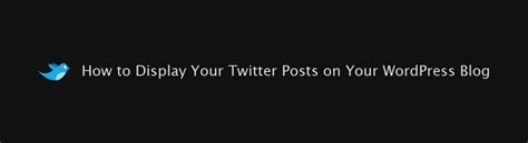 How To Display Your Twitter Posts On Your Wordpress Blog Perishable Press