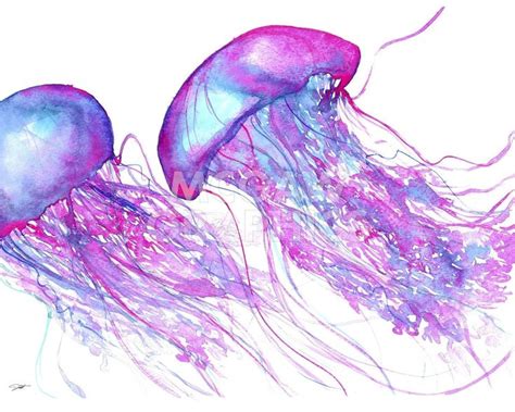 Perfect Pair O Jellies Art Watercolor Jellyfish Watercolor And Ink