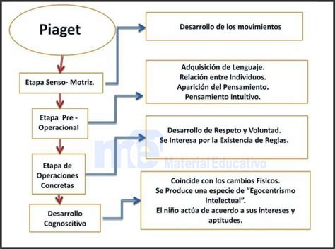 Las Etapas De Piaget