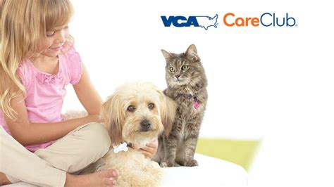 Professional team of dog & cat vets. Pet Care Programs in Victorville, CA | VCA Mesa Animal ...