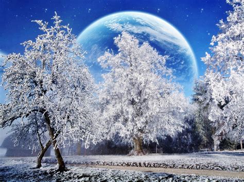 3d Winter Wallpapers Hd Desktop And Mobile Backgrounds