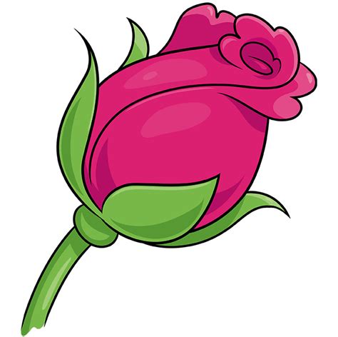 How To Draw A Rose Bud Really Easy Drawing Tutorial Rosé Cartoon