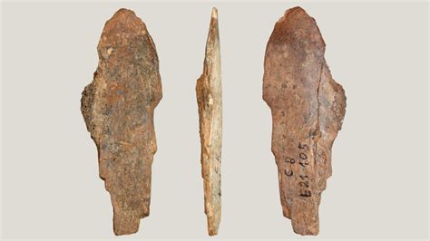 Early Stone Age Tools Hot Sex Picture