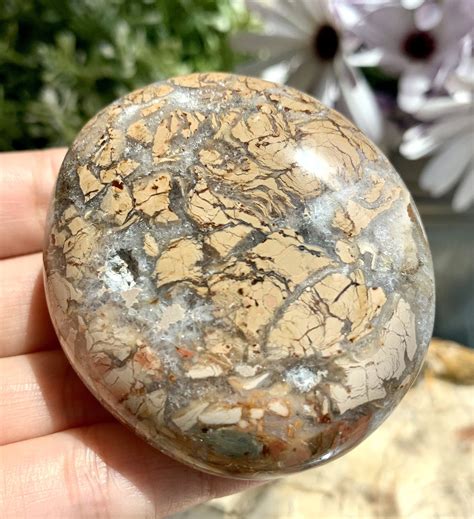 A Quality 100% Natural Ibis Jasper Jasper Crystal Geode | Etsy