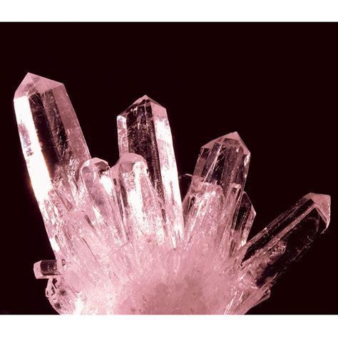 The Crystal Growing Mineralogy Kit Hammacher Schlemmer