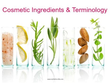Cosmetic Ingredients And Terminology For Skincare And Makeup Products My