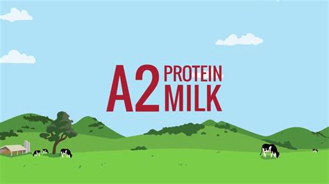 Australias Own A2 Protein Dairy Milk Youtube