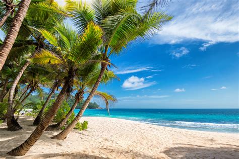 Top 6 Beaches In Hawaii Beaches In Hawaii Beaches Hawaii