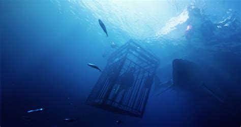 Added 2 years ago anonymously in decades gifs. 47 Meters Down | Film-Rezensionen.de