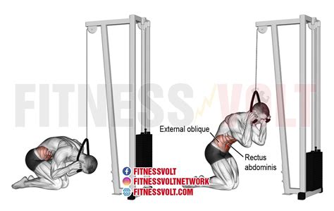 Kneeling Cable Crunch Exercise Guides And Videos ~