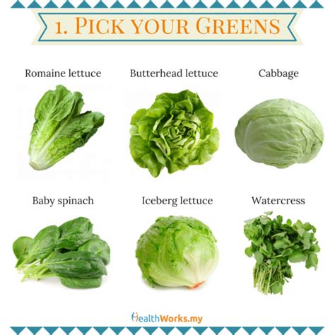 Types Of Lettuce For Salads