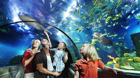 Sea Life Malaysia To Launch By First Half Of 2019 Money Compass