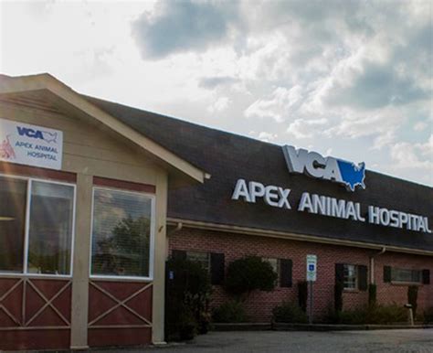 Our Hospital Vca Apex Animal Hospital