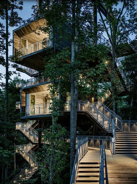 A Tree House As A Dream House Cool Tree Houses Modern Tree House