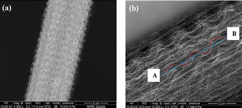 Morphology And Structure Characterization Of Cnt Bundles A B Sem