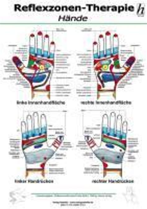 Reflexzonen Therapie Hände Mini Poster Buch Versandkostenfrei Bei