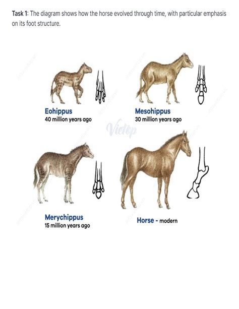 3 Lecture Notes 4545454 The Diagram Illustrates The Evolution Of