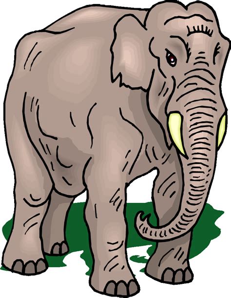 Elephant Ears Cartoon Clipart Best