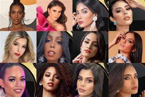 the contestants of miss dominican republic 2021 are scarlett castillo erika silverio hilda