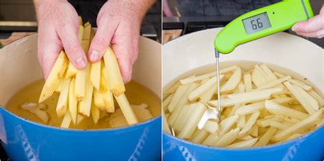 Easiest Homemade French Fries Thermoworks