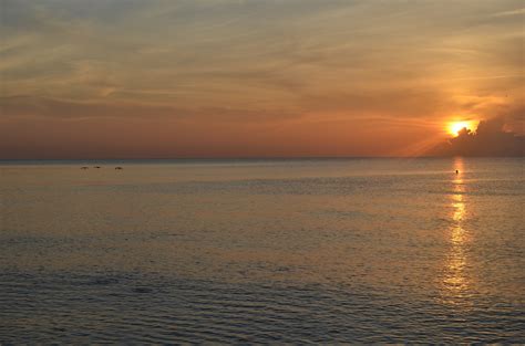 Wallpaper Sunlight Birds Sunset Sea Bay Shore Sand Reflection