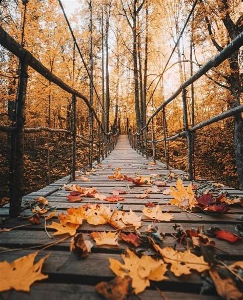 Happy October 🍂🍁 Autumn Photography Fall Pictures Autumn Scenes