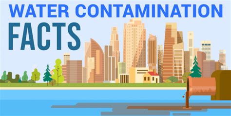 Top Most Common Water Contaminants Infographics