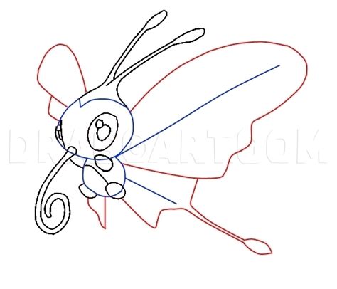 How To Draw Beautifly Coloring Page Trace Drawing
