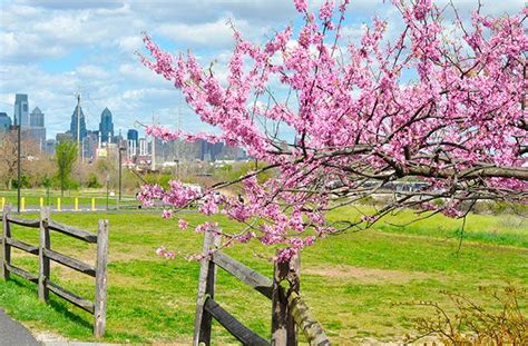 19 Free Things To Do In Philadelphia Free Things To Do World