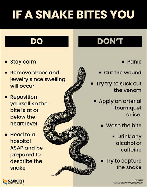 If A Snake Bites You Dodont Poster