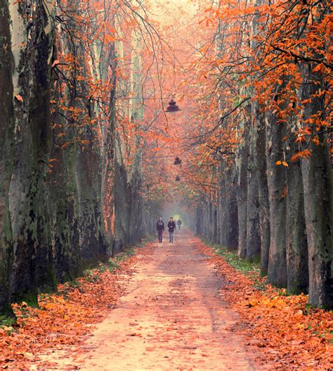 Autumn Walks Pathwalk Ilidza Sarajevo Bosnia Autumn Walks World